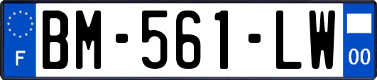 BM-561-LW