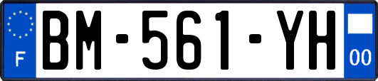 BM-561-YH