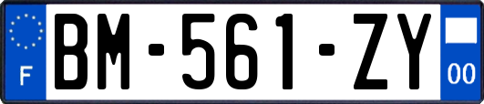 BM-561-ZY