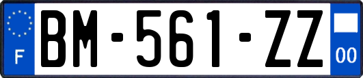 BM-561-ZZ