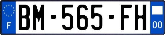 BM-565-FH