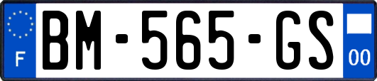 BM-565-GS