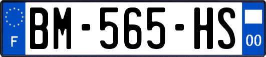 BM-565-HS
