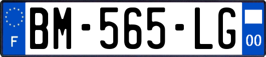 BM-565-LG