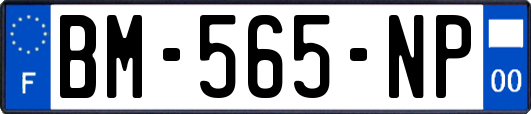 BM-565-NP