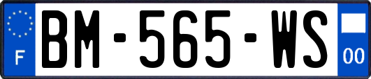BM-565-WS
