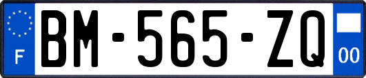 BM-565-ZQ