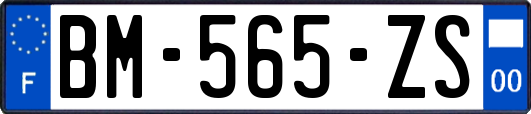 BM-565-ZS