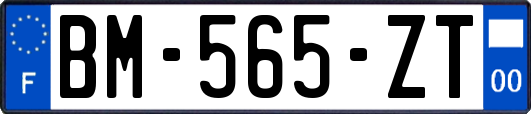 BM-565-ZT