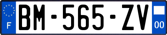 BM-565-ZV