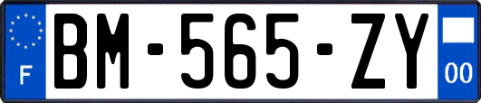 BM-565-ZY