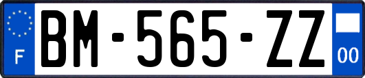 BM-565-ZZ