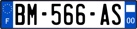 BM-566-AS
