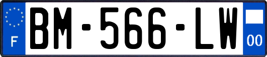 BM-566-LW