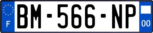 BM-566-NP