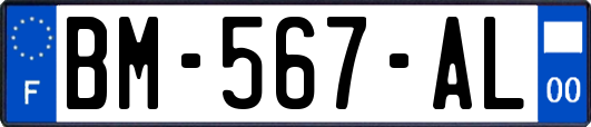 BM-567-AL