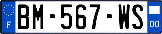 BM-567-WS