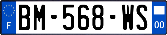 BM-568-WS