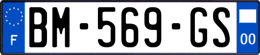 BM-569-GS