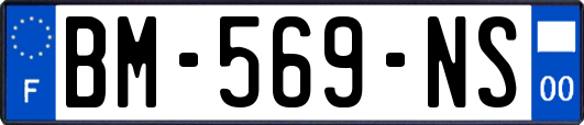 BM-569-NS