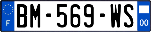 BM-569-WS
