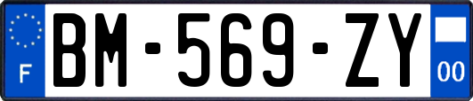 BM-569-ZY