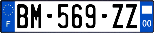 BM-569-ZZ