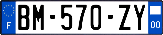 BM-570-ZY