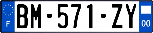 BM-571-ZY