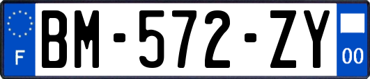 BM-572-ZY