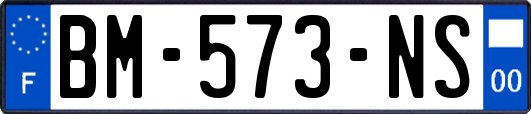 BM-573-NS