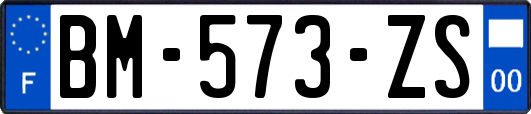 BM-573-ZS