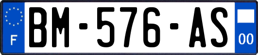 BM-576-AS