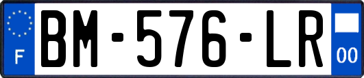 BM-576-LR
