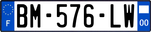 BM-576-LW