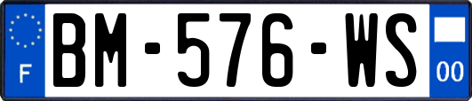 BM-576-WS