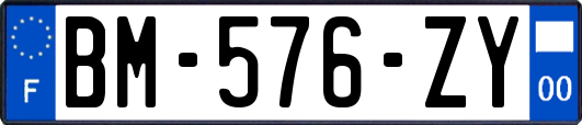 BM-576-ZY