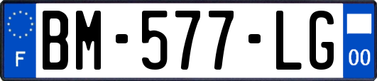 BM-577-LG