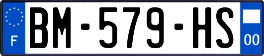 BM-579-HS