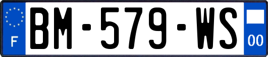 BM-579-WS