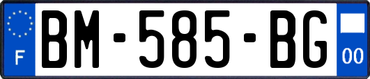 BM-585-BG