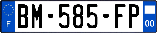 BM-585-FP