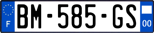 BM-585-GS