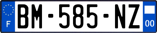 BM-585-NZ