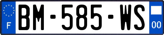 BM-585-WS