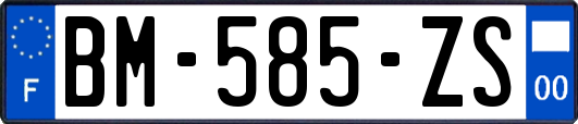 BM-585-ZS