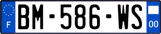 BM-586-WS