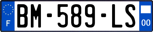BM-589-LS