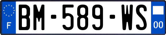 BM-589-WS