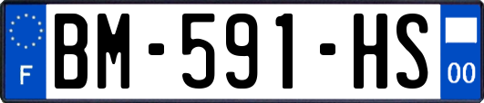 BM-591-HS